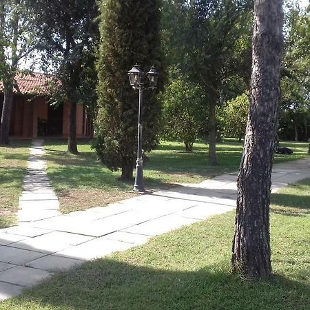 Le Tamerici Guest House Principina Terra Eksteriør bilde